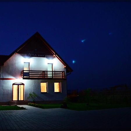 Pensiunea Ana Odoreu Buitenkant foto