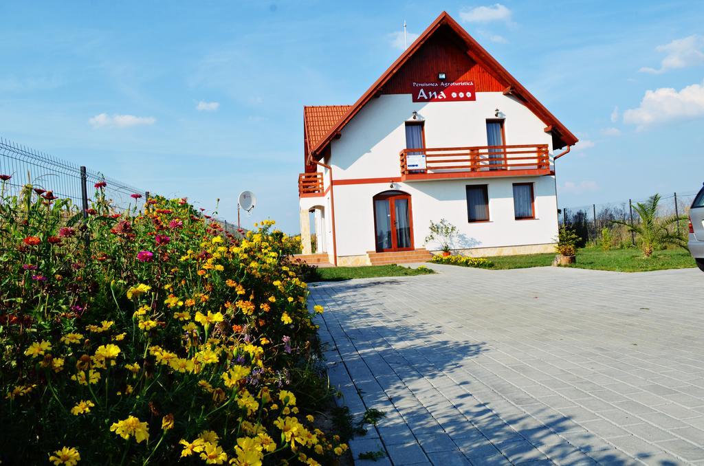 Pensiunea Ana Odoreu Buitenkant foto