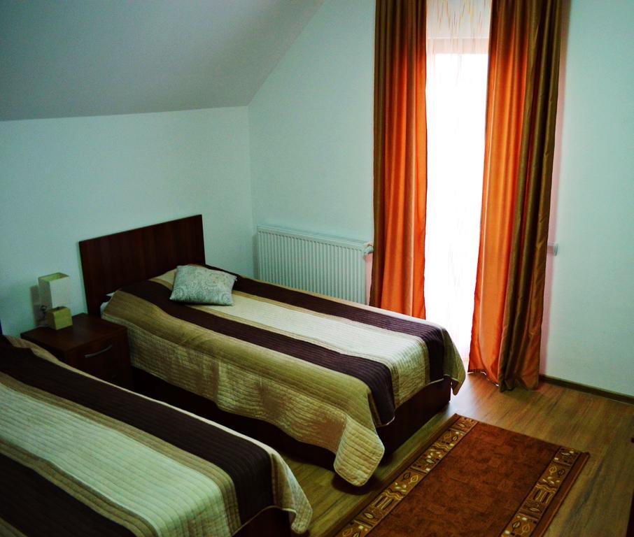 Pensiunea Ana Odoreu Buitenkant foto