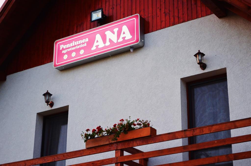 Pensiunea Ana Odoreu Buitenkant foto